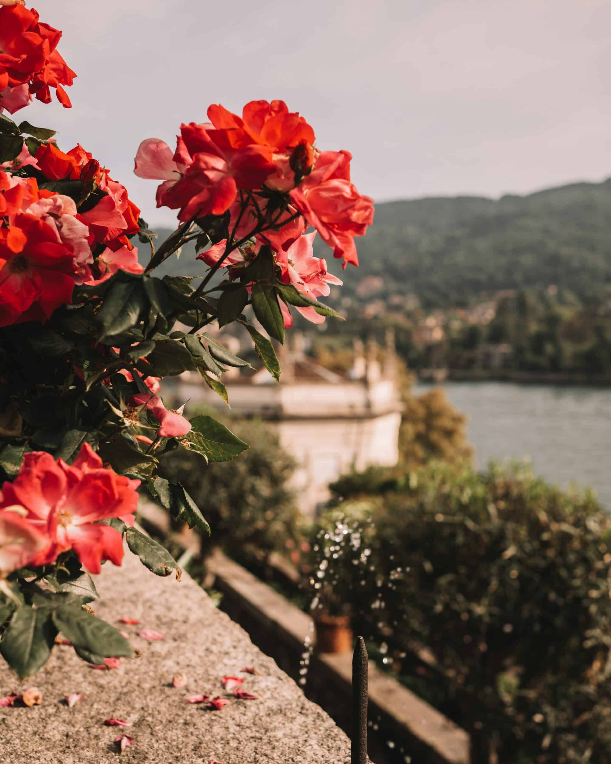 Discover Hidden Corners